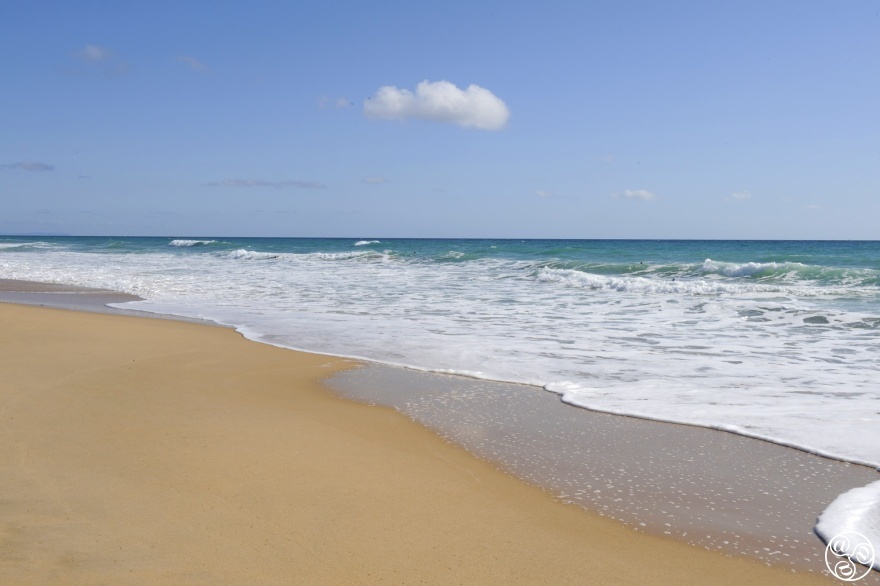 Just look at these idyllic golden sand beaches of El Palmar on the Costa de la Luz! © Michelle Chaplow