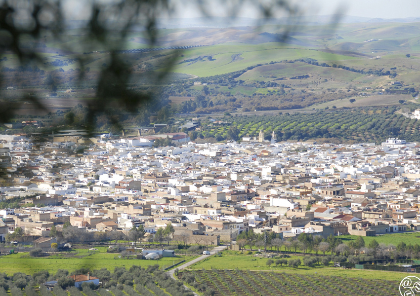Nestled in the valley the village of Puerto Serrano © Michelle Chaplow