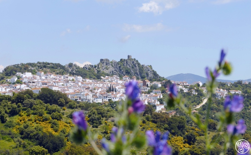 What's on in the whoite village of Gaucín © Michelle Chaplow
