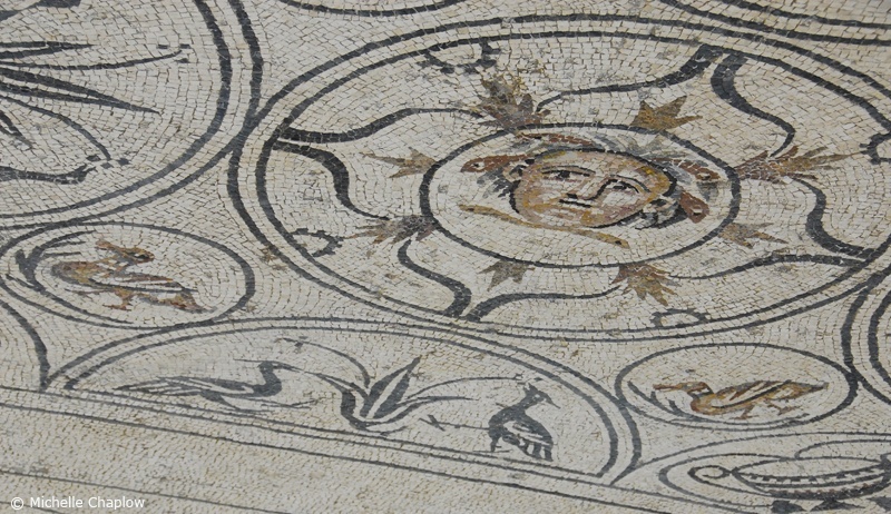 Medusa at Rio Verde Villa  © Michelle Chaplow