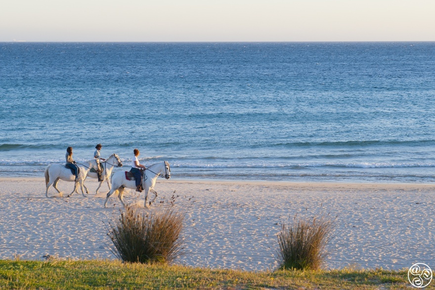 Living the horse riding dream in Tarifa © Michelle Chaplow