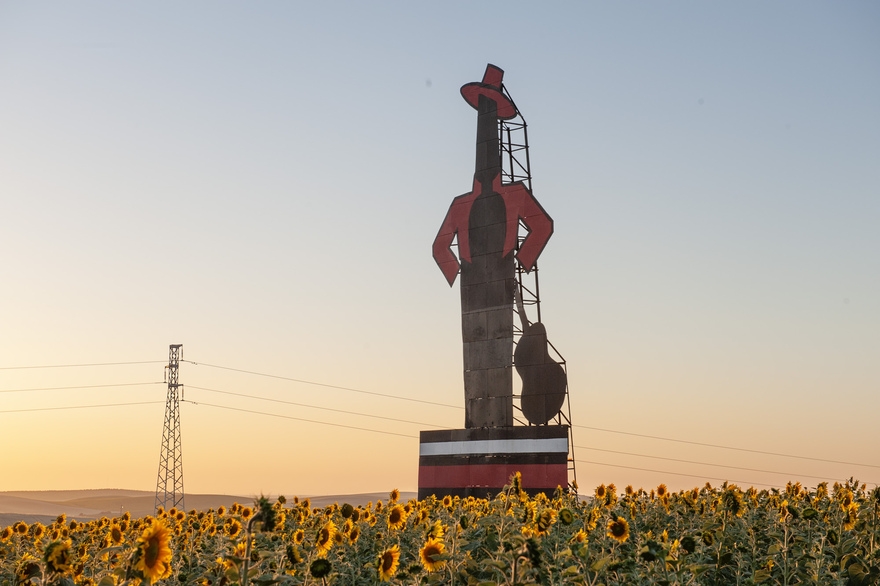 Driving through sunflowers en route to the Tio Pepe Festival © Michelle Chaplow