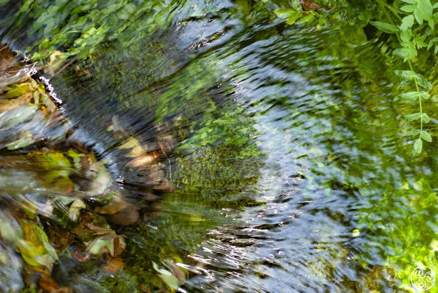 The crystal clear waters of 'El Nacimiento' spring © Michelle Chaplow
