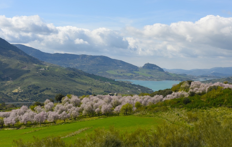 The picturesque village of Zahara de la Sierra © Michelle Chaplow