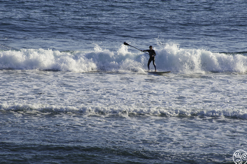 Mediterranean Stand Up Paddleboarding (SUP) Marbella Costa del Sol