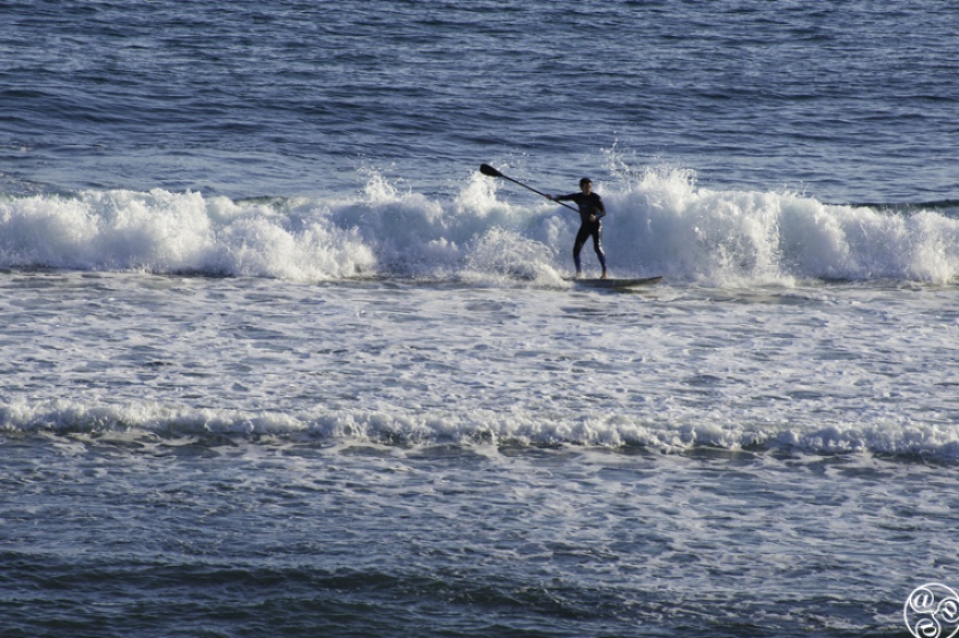 Mediterranean Stand Up Paddleboarding (SUP) Marbella Costa del Sol