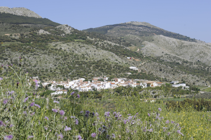The village of Alfarnatejo in the province of Malaga  © Michelle Chaplow