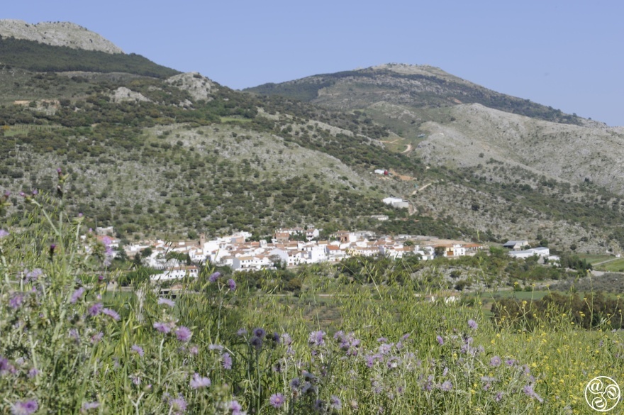 The village of Alfarnatejo in the province of Malaga  © Michelle Chaplow