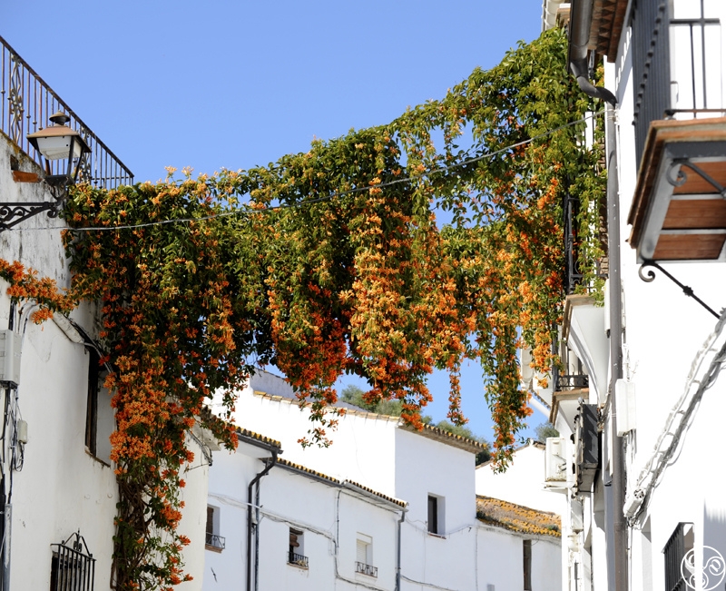 The White village of Jimena © Michelle Chaplow