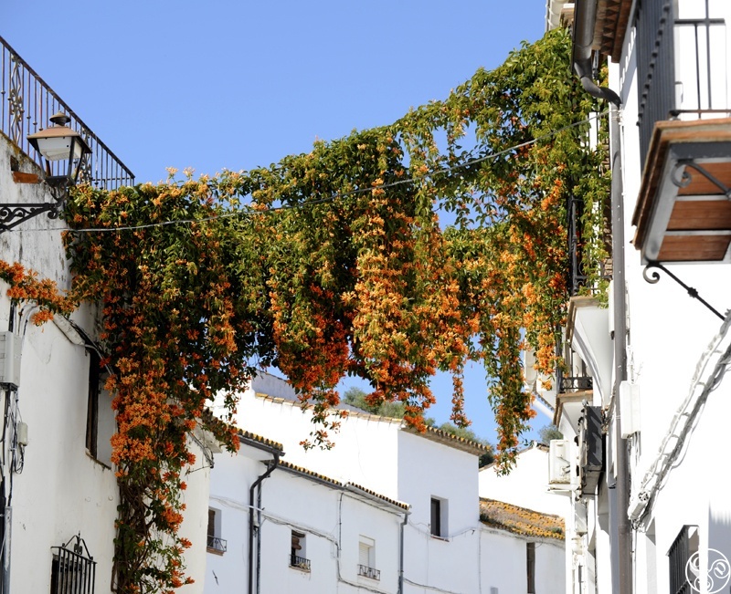 The White village of Jimena © Michelle Chaplow