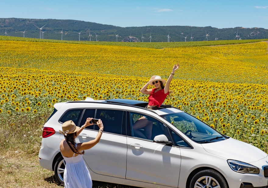 Sunflowers and summer sunshine in Andalucia © Michelle Chaplow