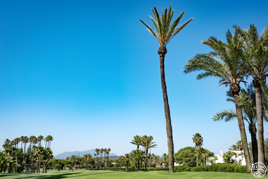 Real Club de Golf in Sotogrande. © Michelle Chaplow
