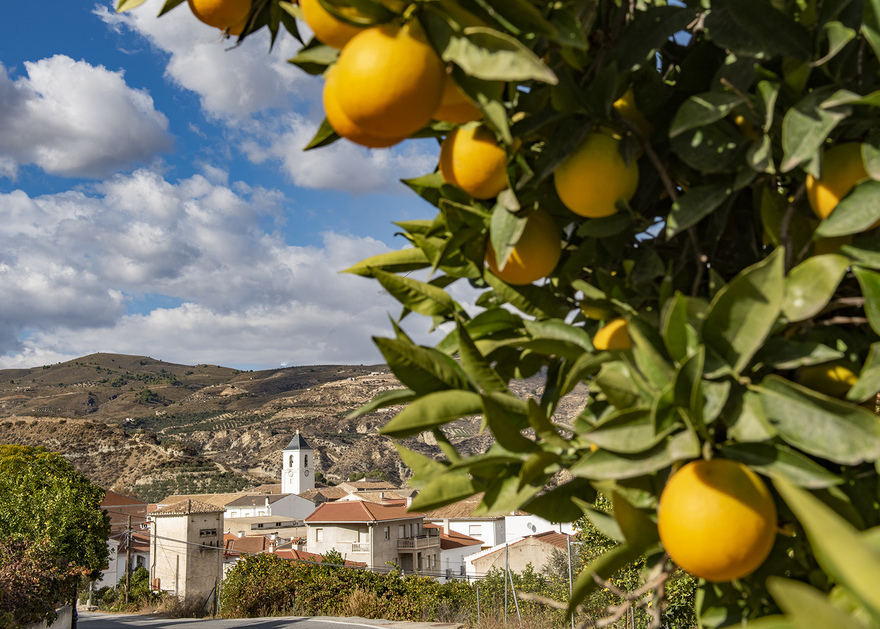 The white village of Restábal in the Lecrin Valley © Michelle Chaplow