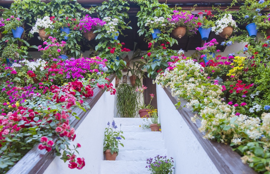 Patios de San Basilio © Michelle Chaplow