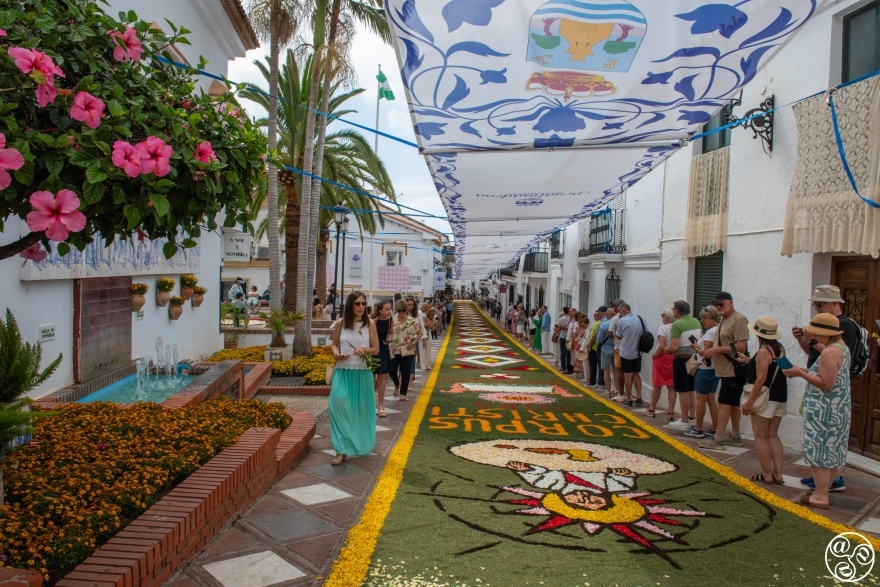 The carpets of flowers in the old part of the village of Benalmadena are an absolute work of art. © Michelle Chaplow