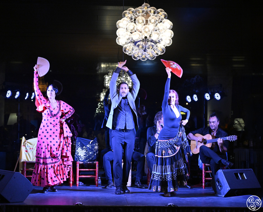 No trip to Seville is complete without experiencing live flamenco © Michelle Chaplow
