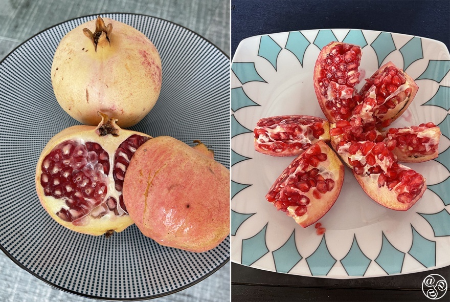 The Pomegranate appears on Granada city's coat of arms © Michelle Chaplow