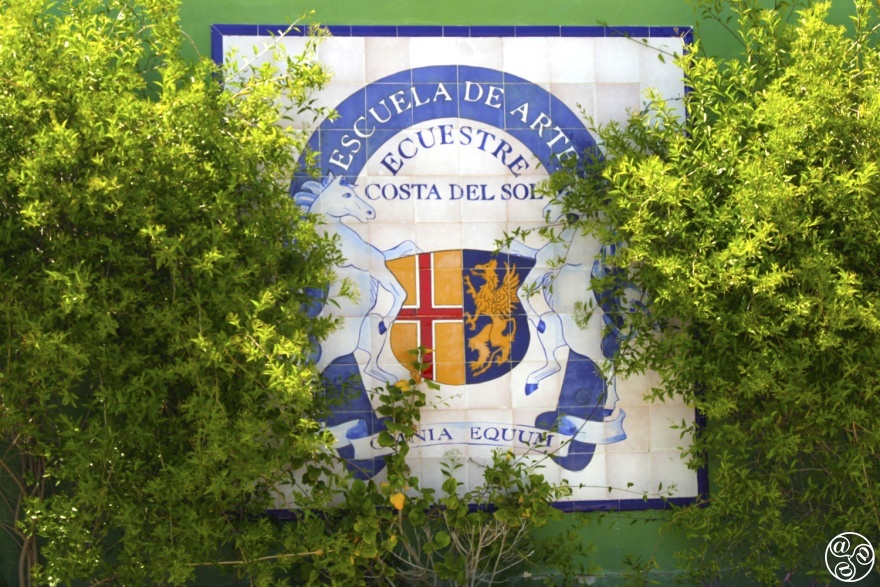 Escuela de Arte Ecuestre Costa del Sol © Gonzalo Alvarez