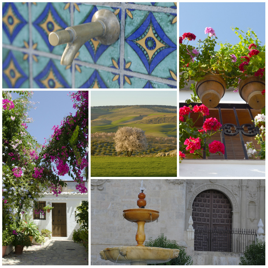 Granada province clockwise: Granada, Bubion, Baza, Salobreña and Alhama © Michelle Chaplow