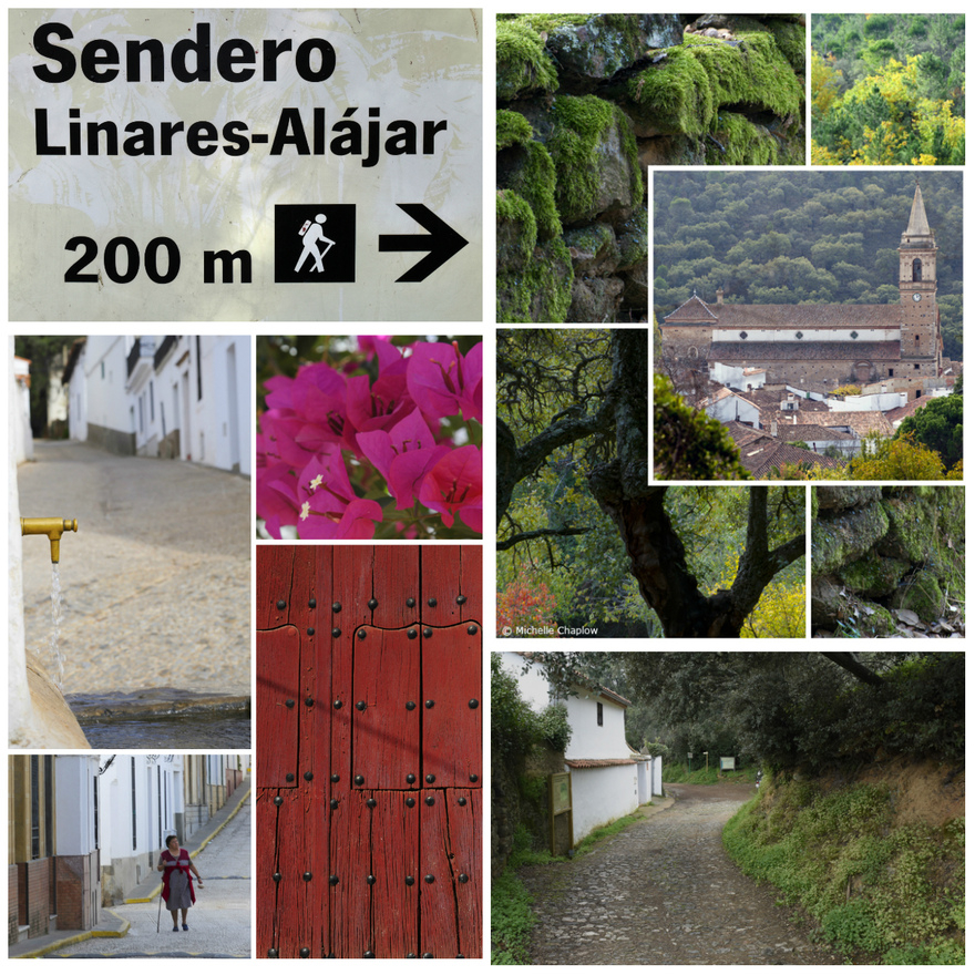This is one of the loveliest walks in the Sierra de Aracena. © Michelle Chaplow