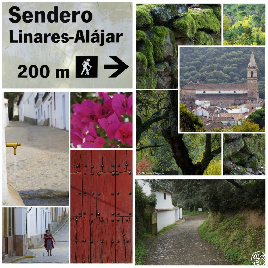 This is one of the loveliest walks in the Sierra de Aracena. © Michelle Chaplow