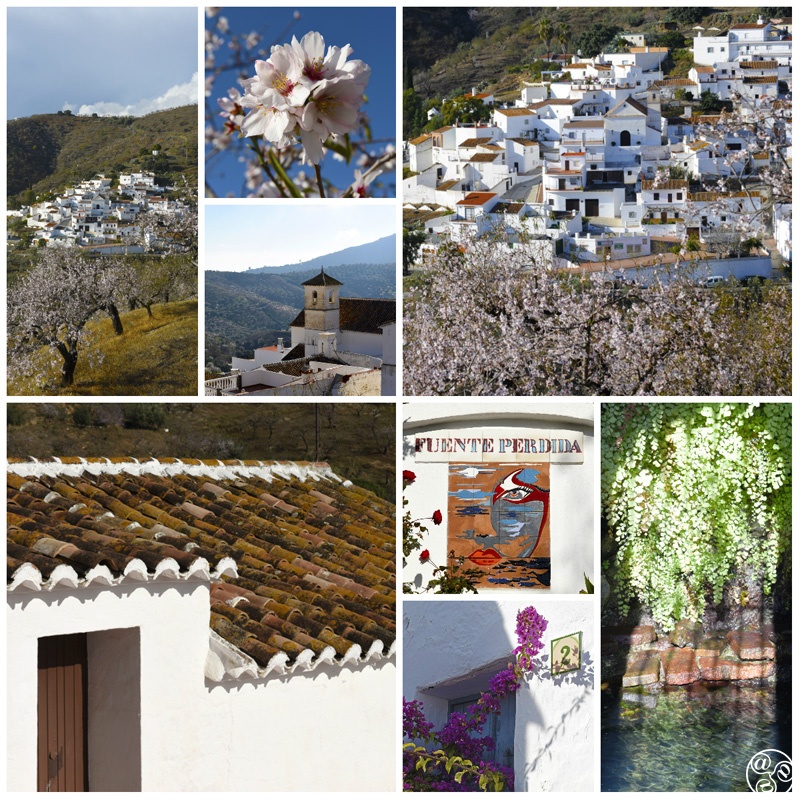 Diamolos Andalucia Spain  © Michelle Chaplow