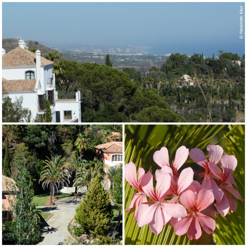 El Madronal in Marbella. © Harpinder Kaur