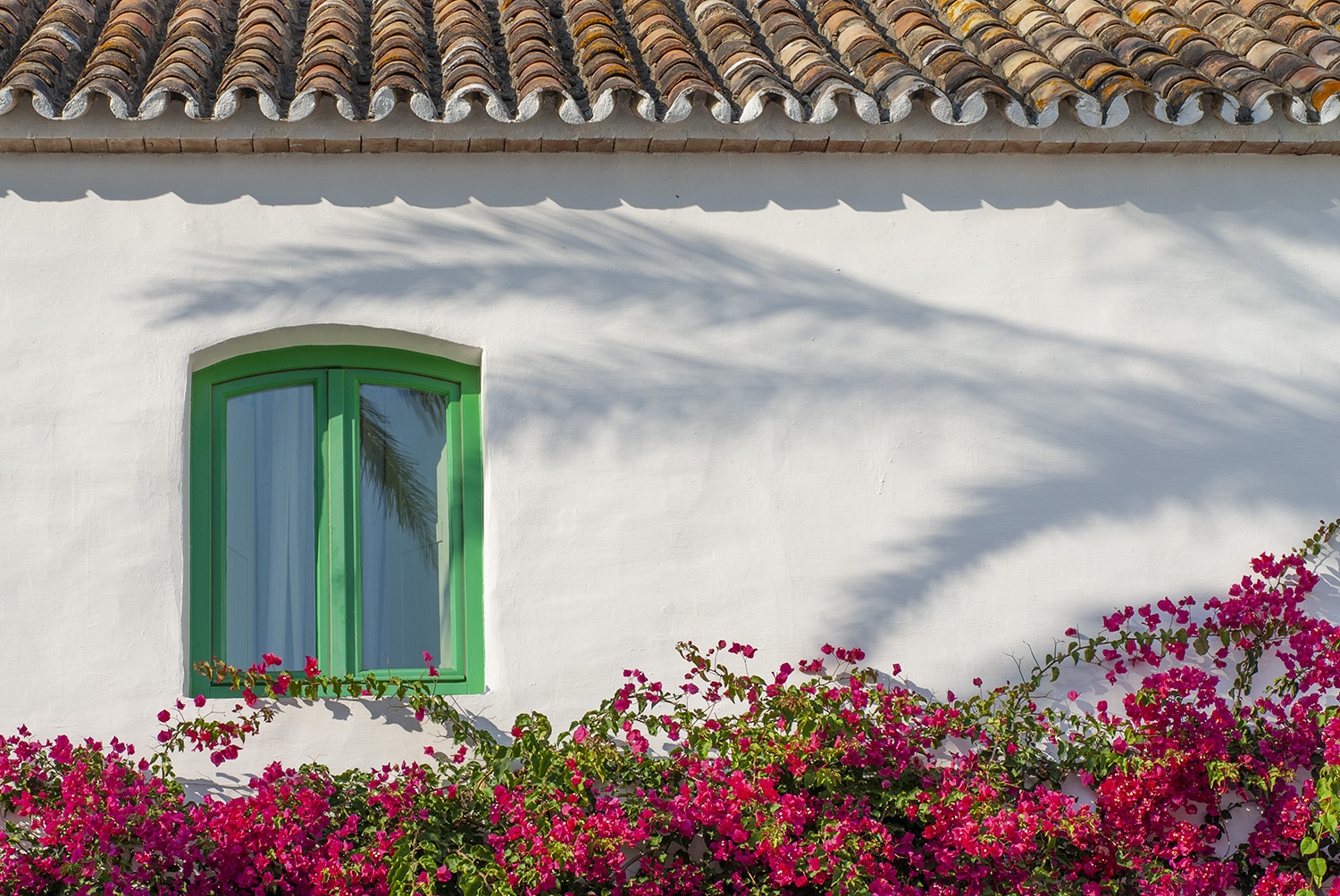 The charm of living in the sundrenced Andalucian countryside © Michelle Chaplow