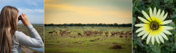  Coto Doñana National Park.