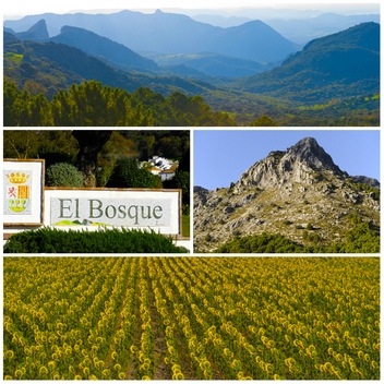 El Bosque is situated at the foot of the Sierra de Grazalema on the banks of the river Majaceite. © Michelle Chaplow