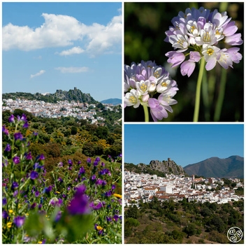 Wandering around the beautiful white Village of Gaucin © Michelle Chaplow