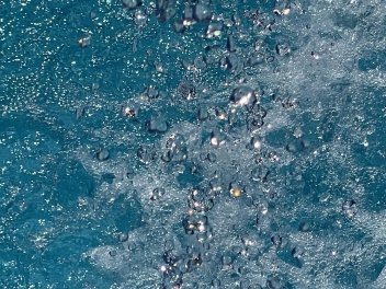 Water shortage News  © Michelle Chaplow