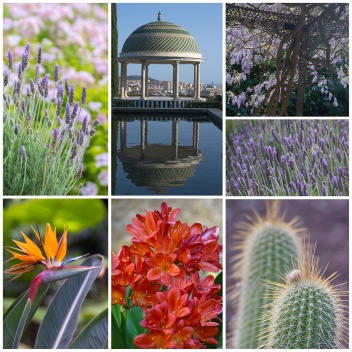 La Concepción Jardín Botánico-Historico de Málaga. © Michelle Chaplow