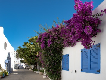 The quaint streets of Agua Amarga © Michelle Chaplow