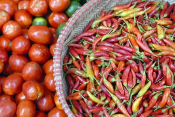 Fresh organic market produce 