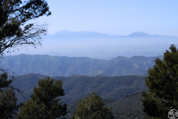 There are five signposted walks in the park Montes de Malaga