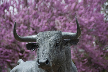 Sculpture to the bull, outside of the Ronda bulling © Michelle Chaplow