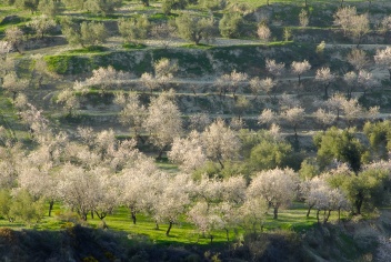 Beautiful landscapes near Beas de Granada © Michelle Chaplow