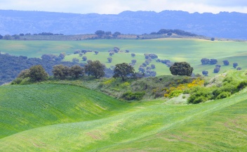 It's great to drive around the hills around Ronda © Michelle Chaplow