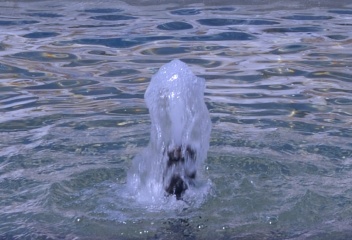 Learn your water vocabulary a - Glossary of water terms in English and Spanish. © Michelle Chaplow