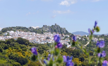 What's on in the whoite village of Gaucín © Michelle Chaplow