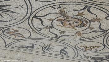 Medusa at Rio Verde Villa  © Michelle Chaplow