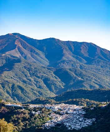 Benarraba, nesteled in the Serrania de Ronda © Michelle Chaplow