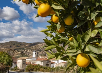 The white village of Restábal in the Lecrin Valley © Michelle Chaplow