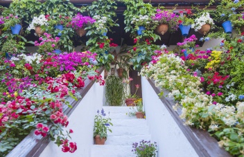 Patios de San Basilio © Michelle Chaplow