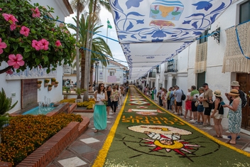 The carpets of flowers in the old part of the village of Benalmadena are an absolute work of art. © Michelle Chaplow
