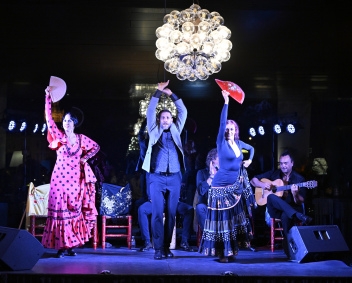 No trip to Seville is complete without experiencing live flamenco © Michelle Chaplow