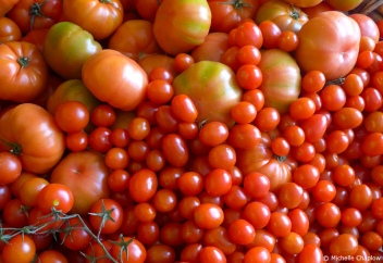 Delicious fresh locally-grown tomatoes