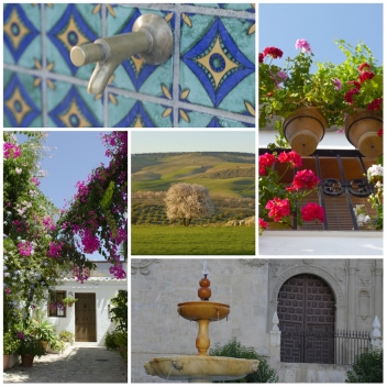 Granada province clockwise: Granada, Bubion, Baza, Salobreña and Alhama © Michelle Chaplow