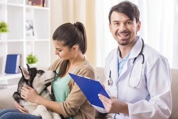 At the vets © iStock